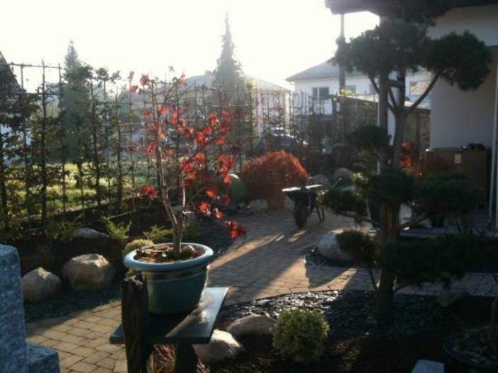 Service de paysagiste Mulhouse