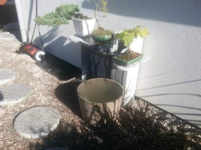 Service de paysagiste Mulhouse