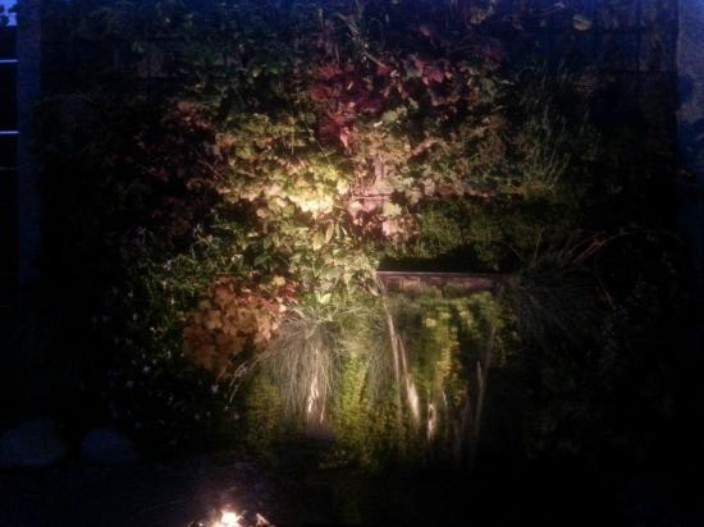 Création de bassins Mulhouse