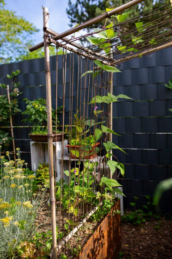 Travaux d’aménagement de jardin Mulhouse