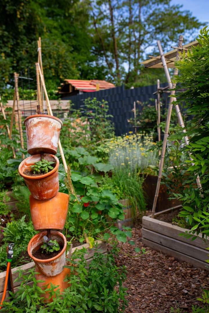 Travaux d’aménagement de jardin Mulhouse