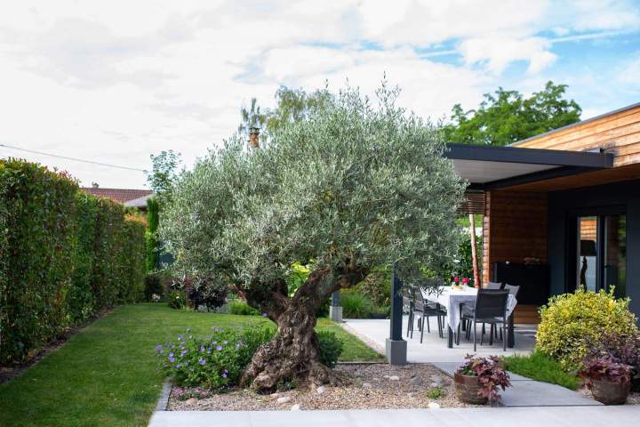 Travaux d’aménagement de jardin Mulhouse