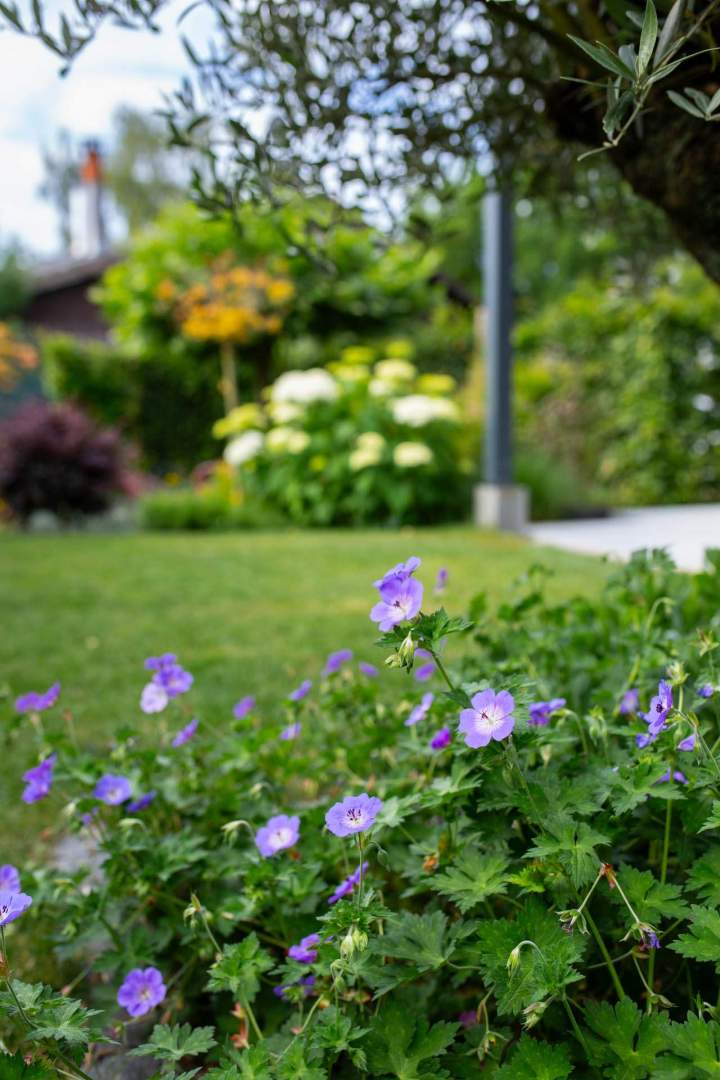 Travaux d’aménagement de jardin Mulhouse