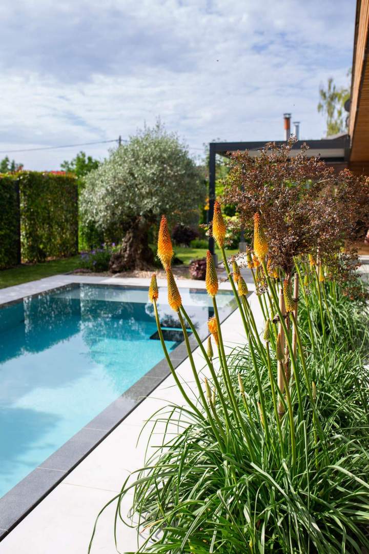 Travaux d’aménagement de jardin Mulhouse