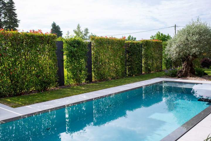 JARDIN PLUS (4)