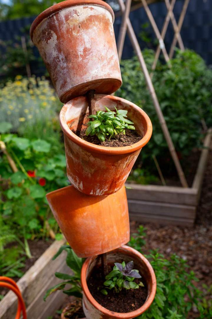 Travaux d’aménagement de jardin Mulhouse