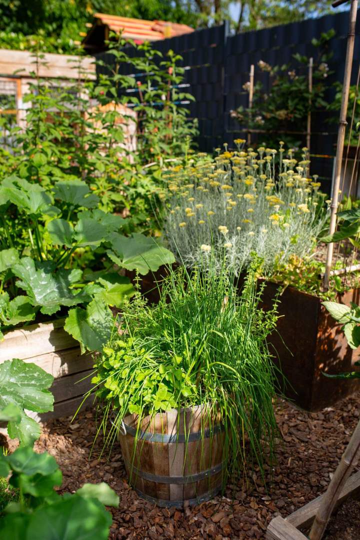 Travaux d’aménagement de jardin Mulhouse